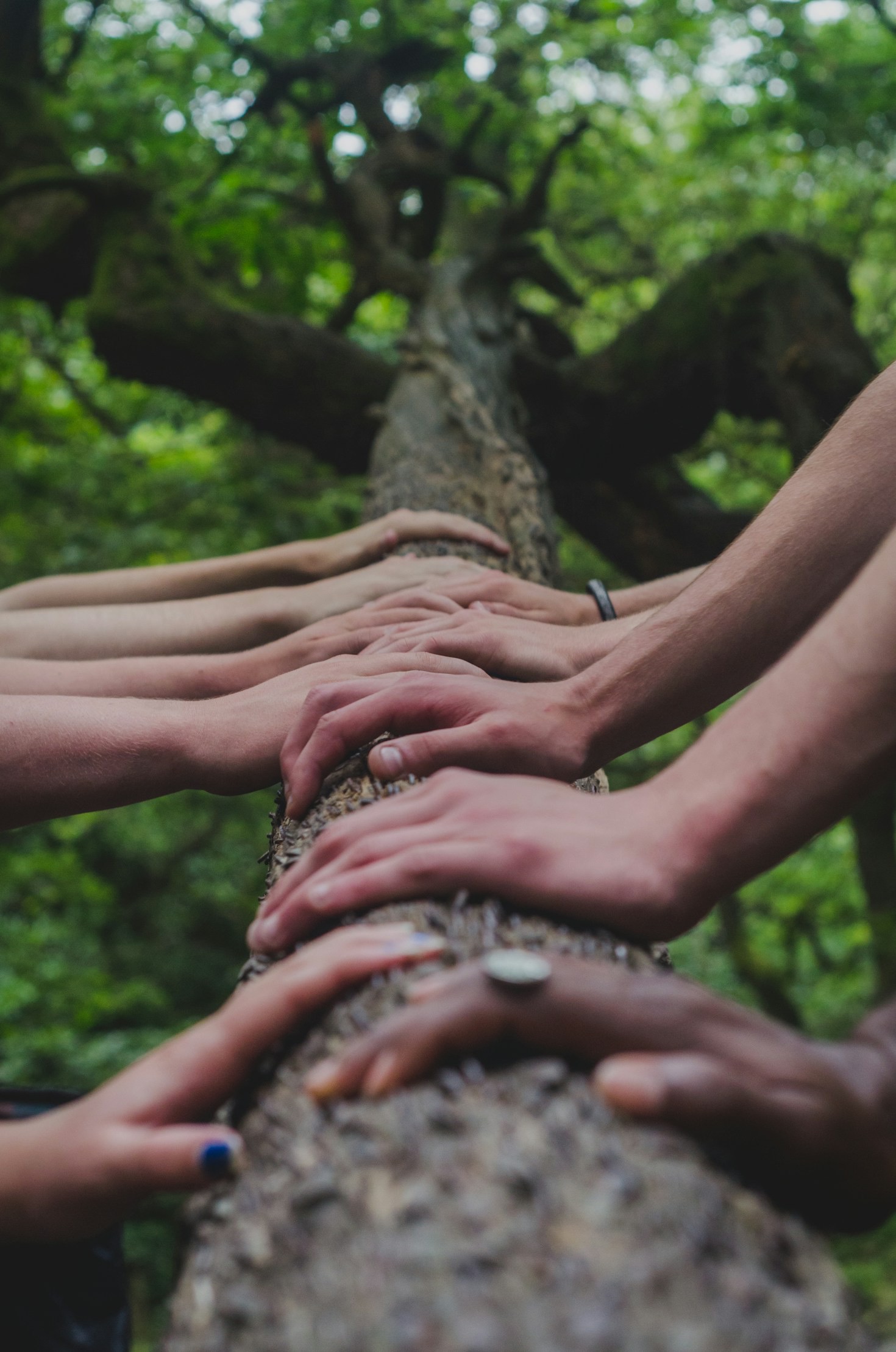 The Power of Shared Insights in Business Growth
